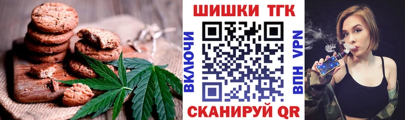 продажа наркотиков  Ноябрьск  Canna-Cookies марихуана 