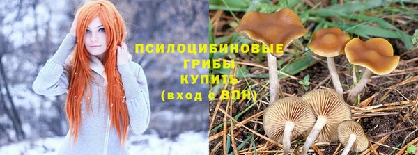 спиды Вязьма