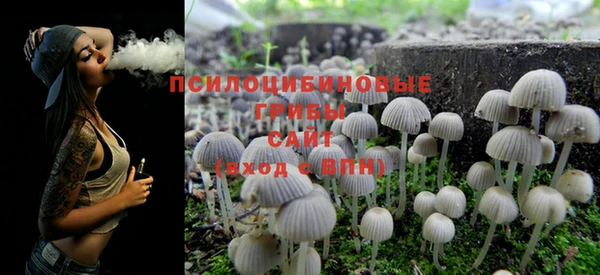 индика Краснотурьинск