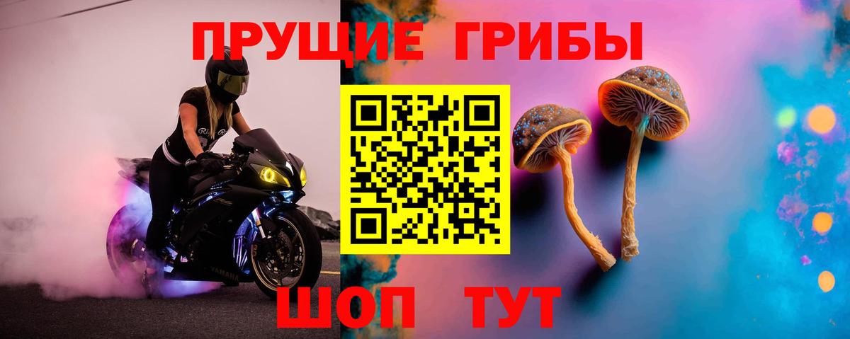 Псилоцибиновые грибы ЛСД  Галлюциногенные грибы прущие грибы  Ноябрьск  Вход с VPN 