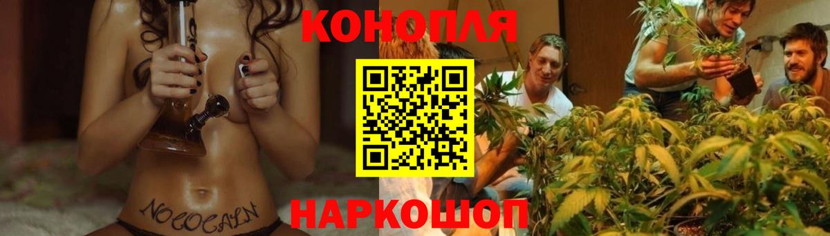 Канабис конопля Ноябрьск